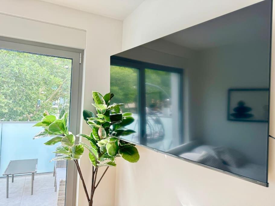 Rooftop Apartment With Balcony & Free Parking Wien Exteriör bild